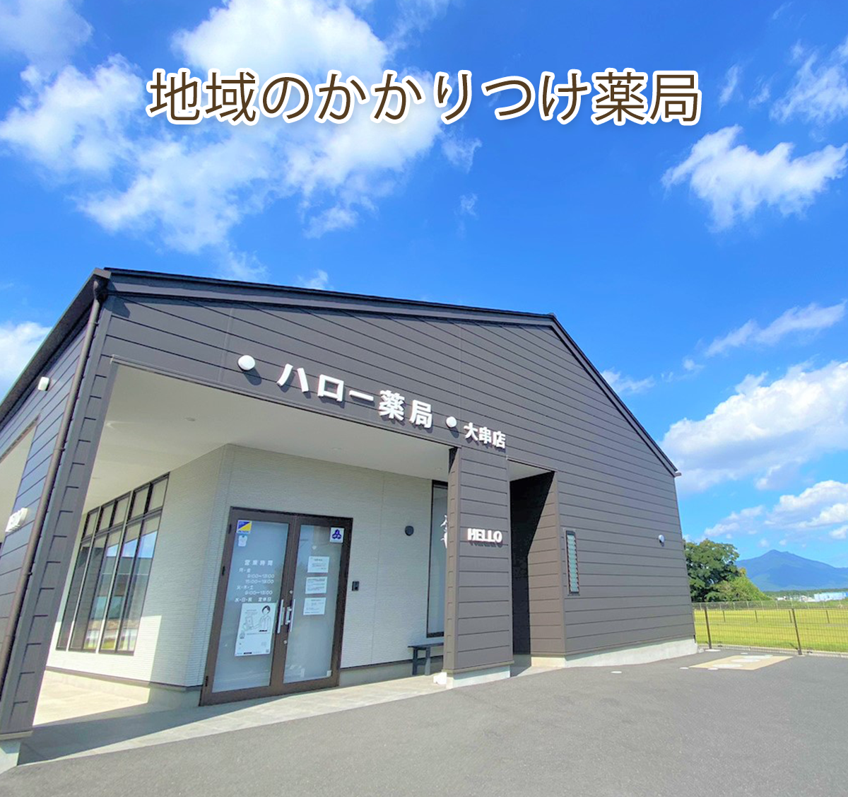 FP,ハロー薬局,大串店,茨城県下妻市,調剤薬局